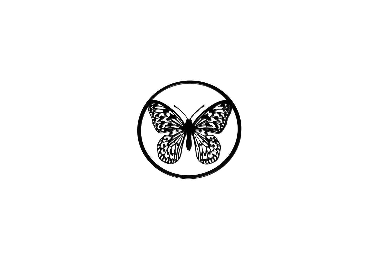 Papillon